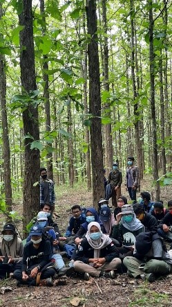 PRAKTIK PENGELOLAAN HUTAN LESTARI – Program Studi S1 Kehutanan